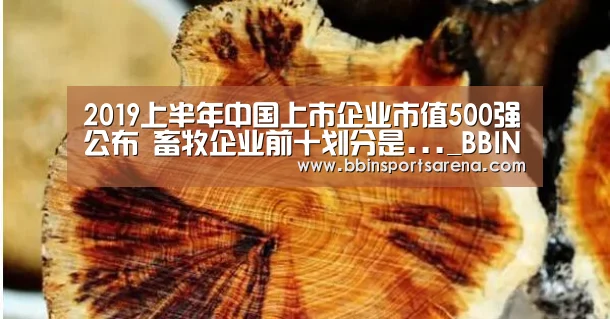 2019上半年中国上市企业市值500强公布 畜牧企业前十划分是..._BBIN电子,BBIN棋牌,BBIN官网,BBIN视讯(图2) BBIN电子,BBIN棋牌,BBIN官网,BBIN视讯