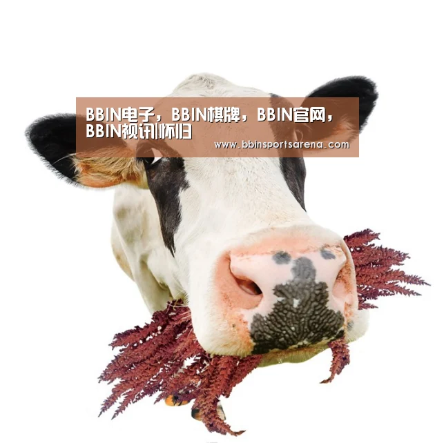 BBIN电子，BBIN棋牌，BBIN官网，BBIN视讯