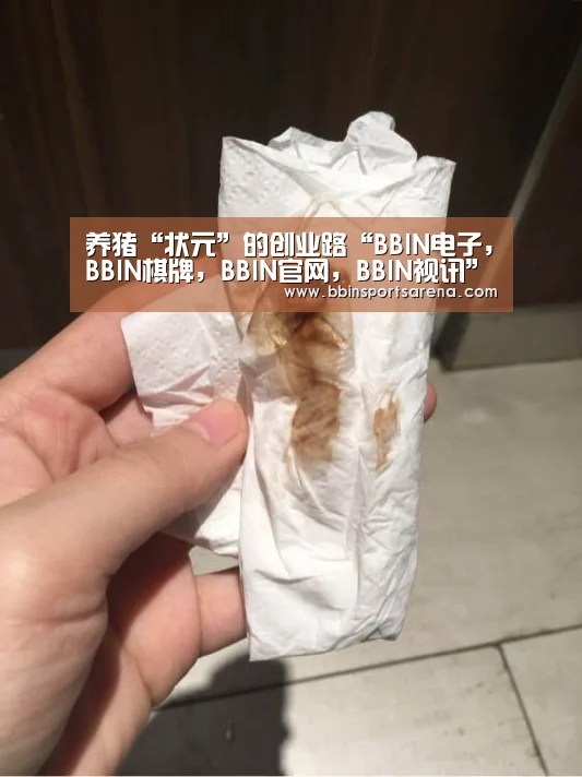 BBIN电子，BBIN棋牌，BBIN官网，BBIN视讯