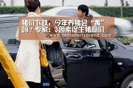 猪价下跌,今年养猪会“黄”吗?专家:3因素促生猪高价_BBIN电子,BBIN棋牌,BBIN官网,BBIN视讯(图1) BBIN电子,BBIN棋牌,BBIN官网,BBIN视讯