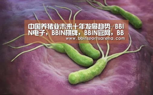 中国养猪业未来十年发展趋势-BBIN电子,BBIN棋牌,BBIN官网,BBIN视讯(图2) BBIN电子,BBIN棋牌,BBIN官网,BBIN视讯