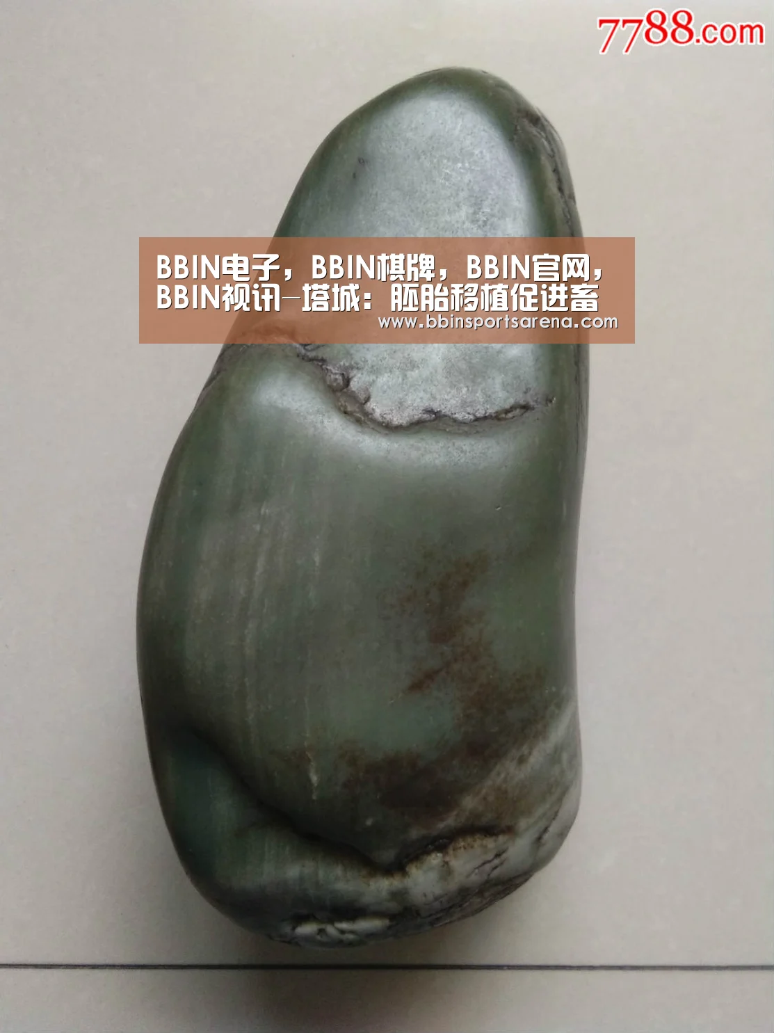 BBIN电子，BBIN棋牌，BBIN官网，BBIN视讯