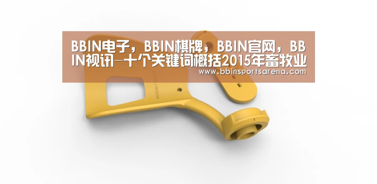 BBIN电子，BBIN棋牌，BBIN官网，BBIN视讯