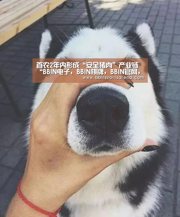 首农2年内形成“安全猪肉”产业链“BBIN电子,BBIN棋牌,BBIN官网,BBIN视讯”(图1) BBIN电子,BBIN棋牌,BBIN官网,BBIN视讯